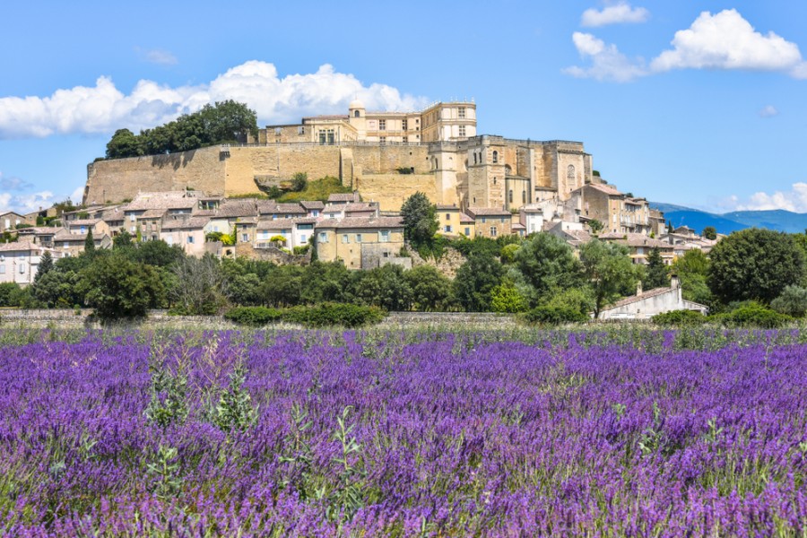 Chateau de grignan : L'incontournable de la drôme provencale